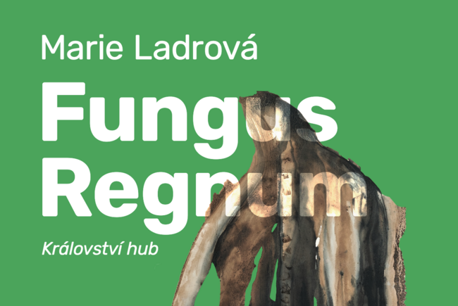 VERNISÁŽ - Marie Ladrová / Fungus Regnum - Království hub 