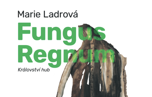 Marie Ladrová / Fungus Regnum - Království hub